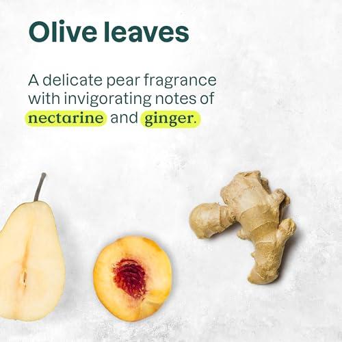 ATTITUDE ATTITUDE Nourishing Hair Shampoo, EWG Verified, For Dry and Damaged Hair, Naturally Derived Ingredients, Vegan and Plant Based, Grapeseed Oil and Olive Leaves, 32 Fl Oz (Pack of 6)