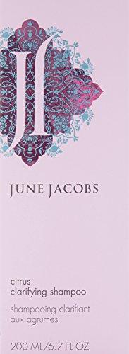 June Jacobs June Jacobs Citrus Clarifying Shampoo, 6.7 Fl Oz