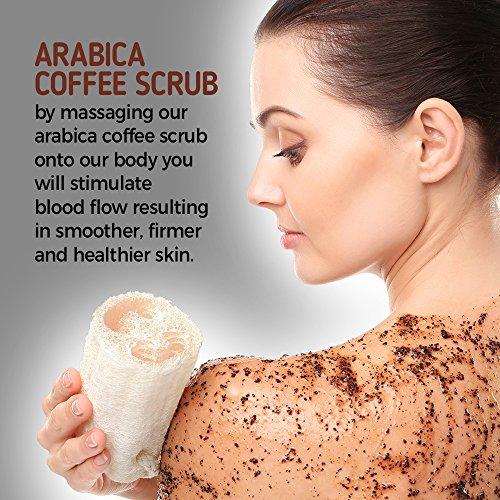 24K Organic 24K Organic Arabica Coffee Scrub, Contains Vitamin E. & Shea Butter, Therapy for Varicose Veins, Cellulite, Stretch Marks, Eczema and Acne, Deep Skin Exfoliator, 8 oz.