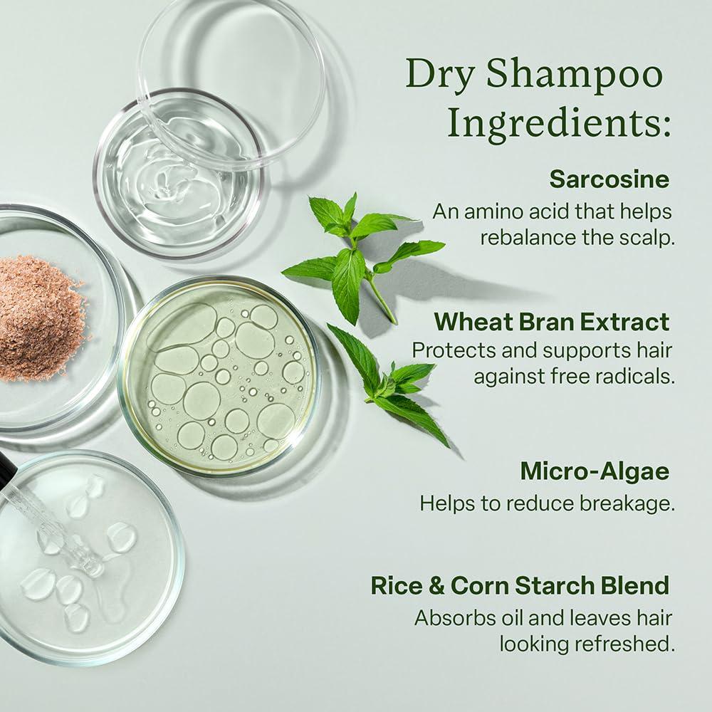 divi Divi Volumizing Hair Care Kit, Shampoo, Conditioner, Dry Shampoo