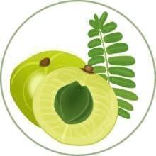 Generic Original Adiwasi Hair Growth Oil 200 ML Ayurvedic Adiwasi Herbal Kesh tel with Natural Rosemary essential & Biotin for Control Hairfall anti-dandruff PACK OF - 2, Clear