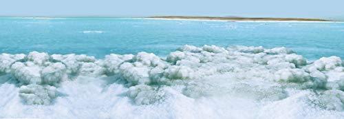 Swisa Beauty Sensation Swisa Beauty Dead Sea Body Butter Milk And Honey - Thick and Creamy Skin Softener Leaves The Skin Silky Smooth and Refreshed.