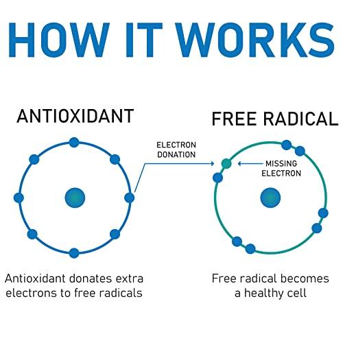 ALPS ALPS Antioxidant Cream 1.7 FL. Oz Bottle. Infused with Avocado Butter, Vitamin E, Hypoallergenic, Non Greasy Formula.