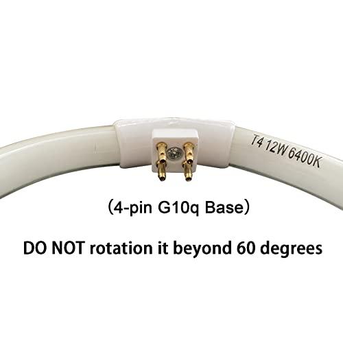 Flyercatch (2 Pack) 5.5 inch OD, 4 Pins Inside, T4 12W 6400k Circular Bulb Replacement for Conair Makeup Mirror, Round Fluorescent Lamps- FC121