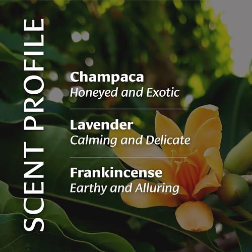 Banyan Botanicals Banyan Botanicals Body Oil Lightweight & Non-Greasy Body Oil Ayurvedic Skin Care with Organic Jojoba Oil & Herbs for Soft, Smooth Skin 4 oz Non-GMO, Cruelty Free, Paraben Free Massage Oil