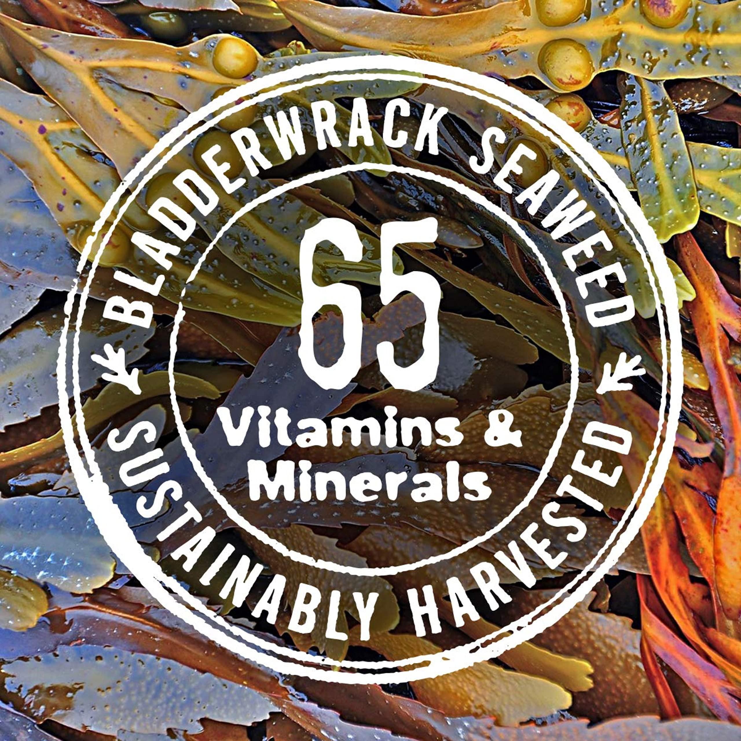 The Seaweed Bath Co. The Seaweed Bath Co. Hydrating In-Shower Body Conditioner, 8 Ounce, Coconut Water Scent, With Natural Bladderwrack Seaweed, Vegan, Paraben Free