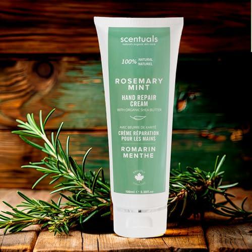 Scentuals Hand Cream with Rosemary & Mint Essential Oil, Shea Butter, Cocoa Butter, Argan & Almond oil, Vitamin E and Aloe Vera, for Moisturizing Dry Hands, Cruelty Free, Natural Skin Care, 100 ml, 3.4 fl.oz