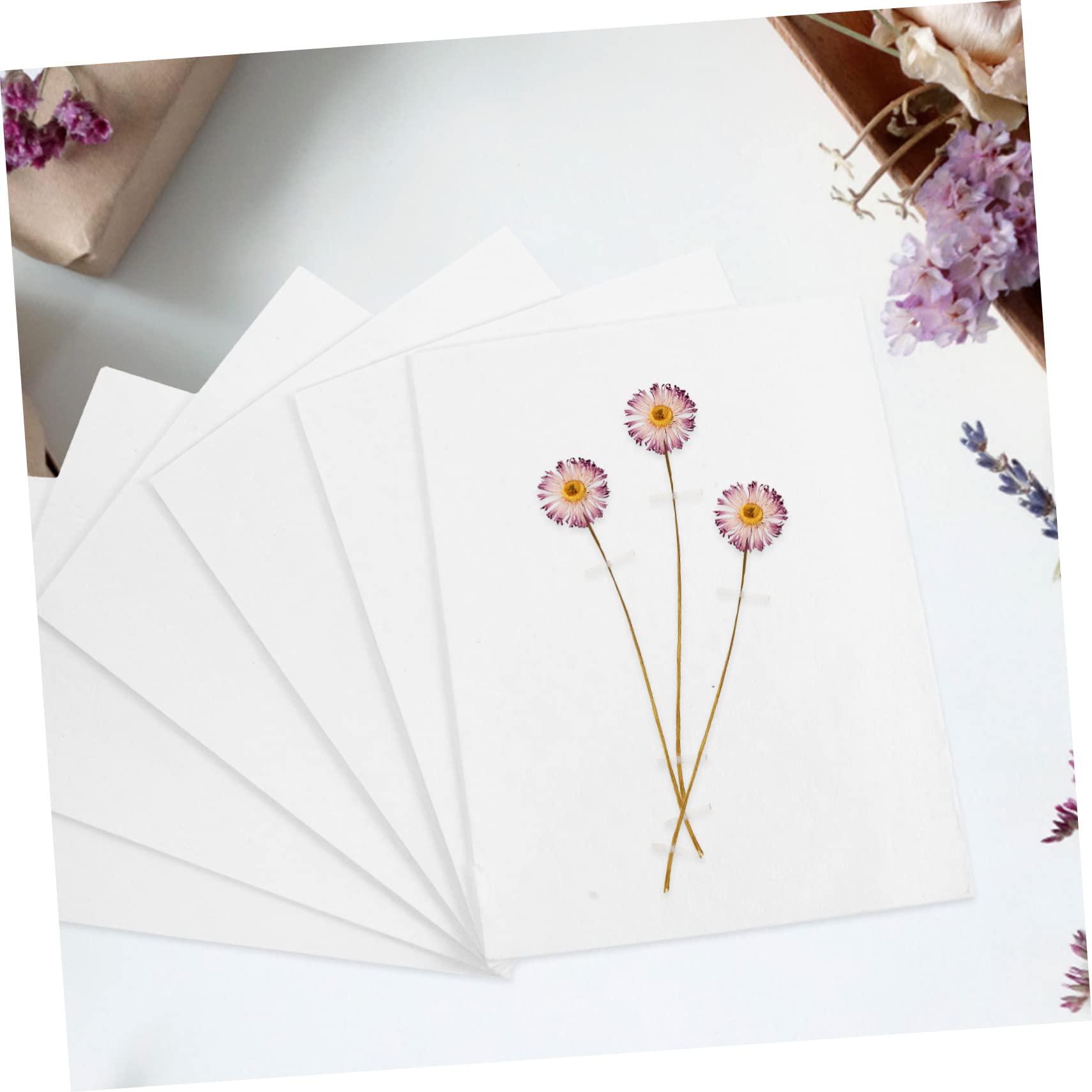 minkissy minkissy Diy Dried Flower Press Board Set 6pcs Blotter Paper Herbarium for Flower Pressing Art Craft