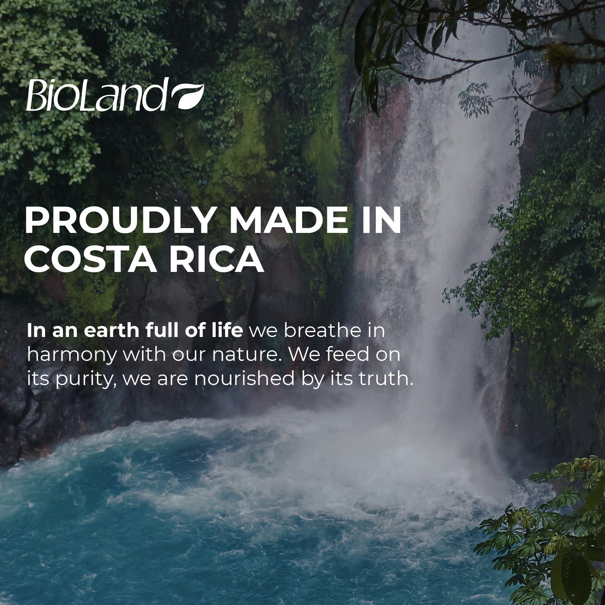 Bioland Bioland Coconut Milk Conditioner - Ultra-Nourishing Conditioner for Curly & Dry Hair - 13.53 fl oz (400mL)