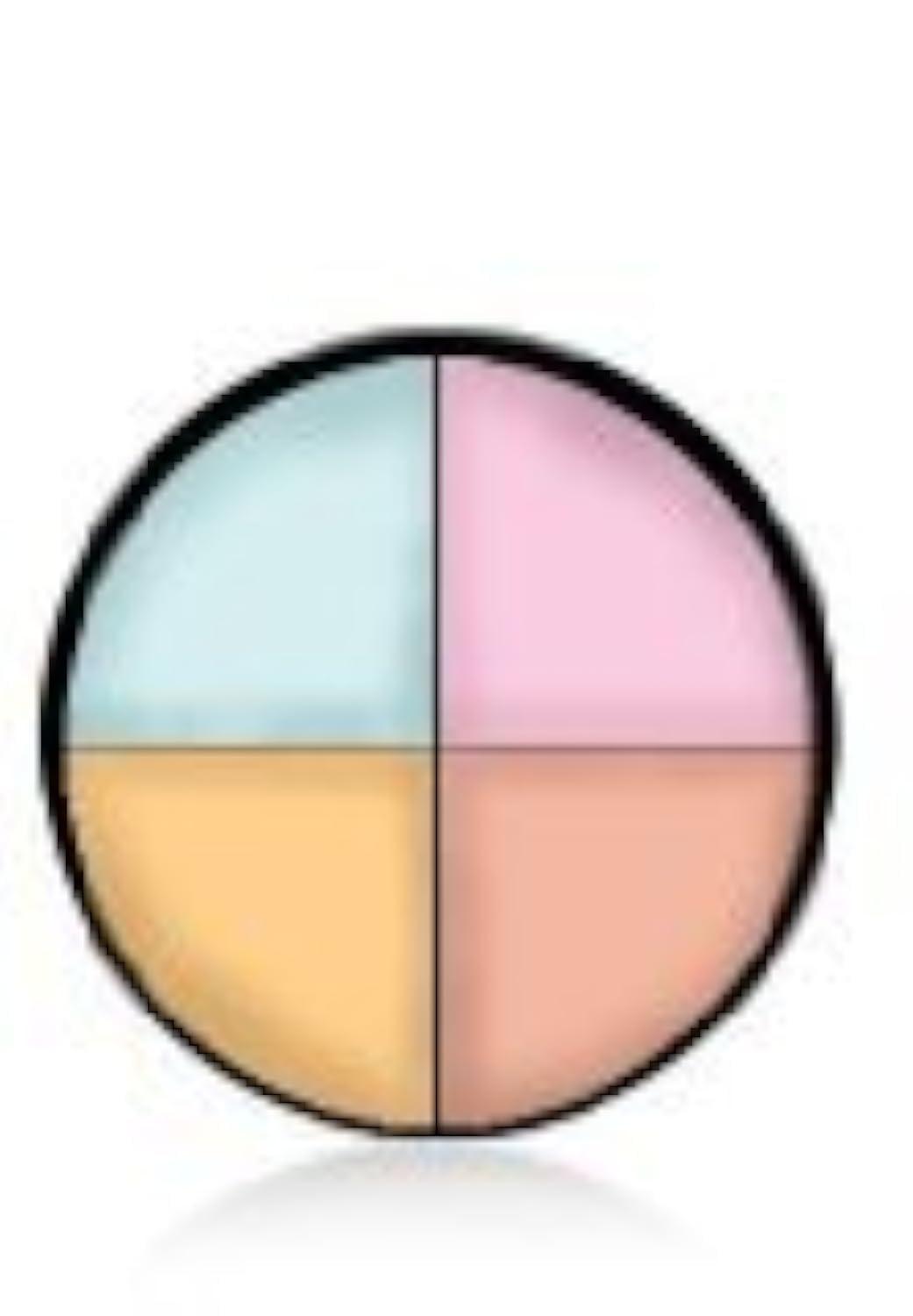 Color Me Beautiful Corrective Concealer Wheel by Color Me Beautiful, Neutralizes Dark Patches, Redness, and Dullness, 4 Color Correcting Kit for Flawless Complexion