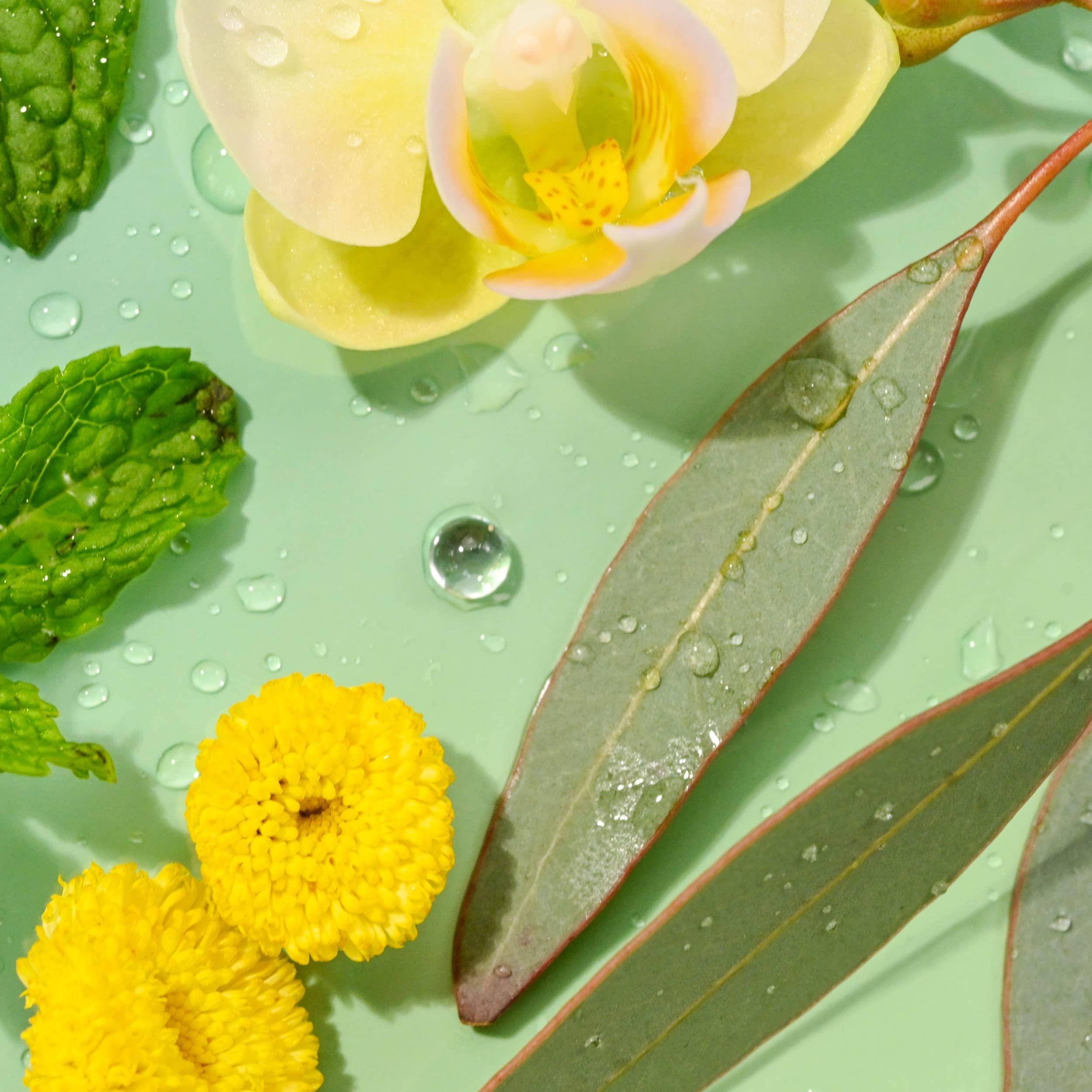 eos eos Chill Vibes Lip Balm Variety Pack- Chamomile, Eucalyptus Mint, Sweet Mint & Vanilla Bean, All-Day Moisture Lip Care Products, 0.14 oz, 4-Pack