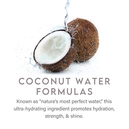 ALURAM ALURAM Coconut Water Based Daily Shampoo, 12 Fl Oz