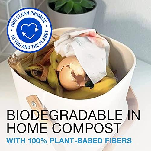 Neutrogena Neutrogena Make-Up Remover Cleansing Towelettes Refills 25 Each ( Pack of 2)