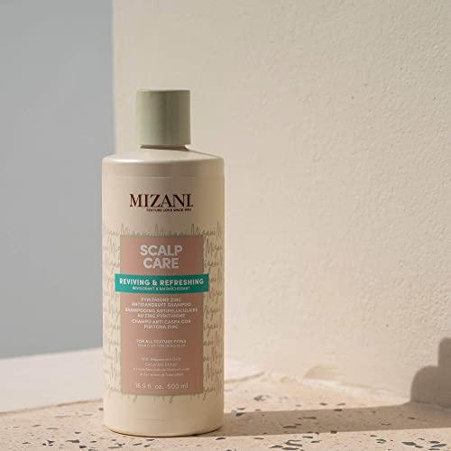 MIZANI MIZANI Scalp Care Dandruff Shampoo | Pyrithione Zinc | Cleanses Hair & Scalp | For Curly Hair | 16.9 Fl Oz