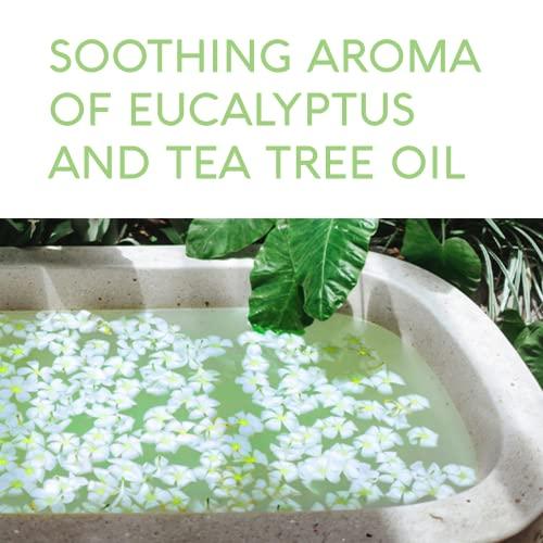 Nature's Beauty Nature's Beauty Eucalyptus & Tea Tree Bath Bomb Multi-Pack- Natural Hand Crafted, Non-Staining, Luxury Fizzy Spa Bomb, Sooth + Restore Skin, Made w/Coconut Oil & Witch Hazel, 4.6oz (4 Pack)