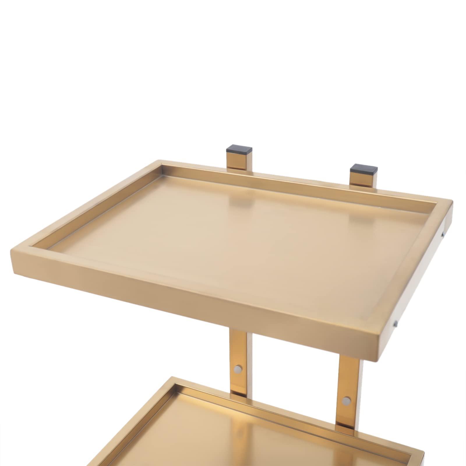 EurHomePlus Salon Tray on Wheels with 2 Tiers, Tattoo Shop Collapsible Utility Carts Stainless Steel Salon Storage Stand, Foldable Gold/Silver Organizer with Wheels (Gold)