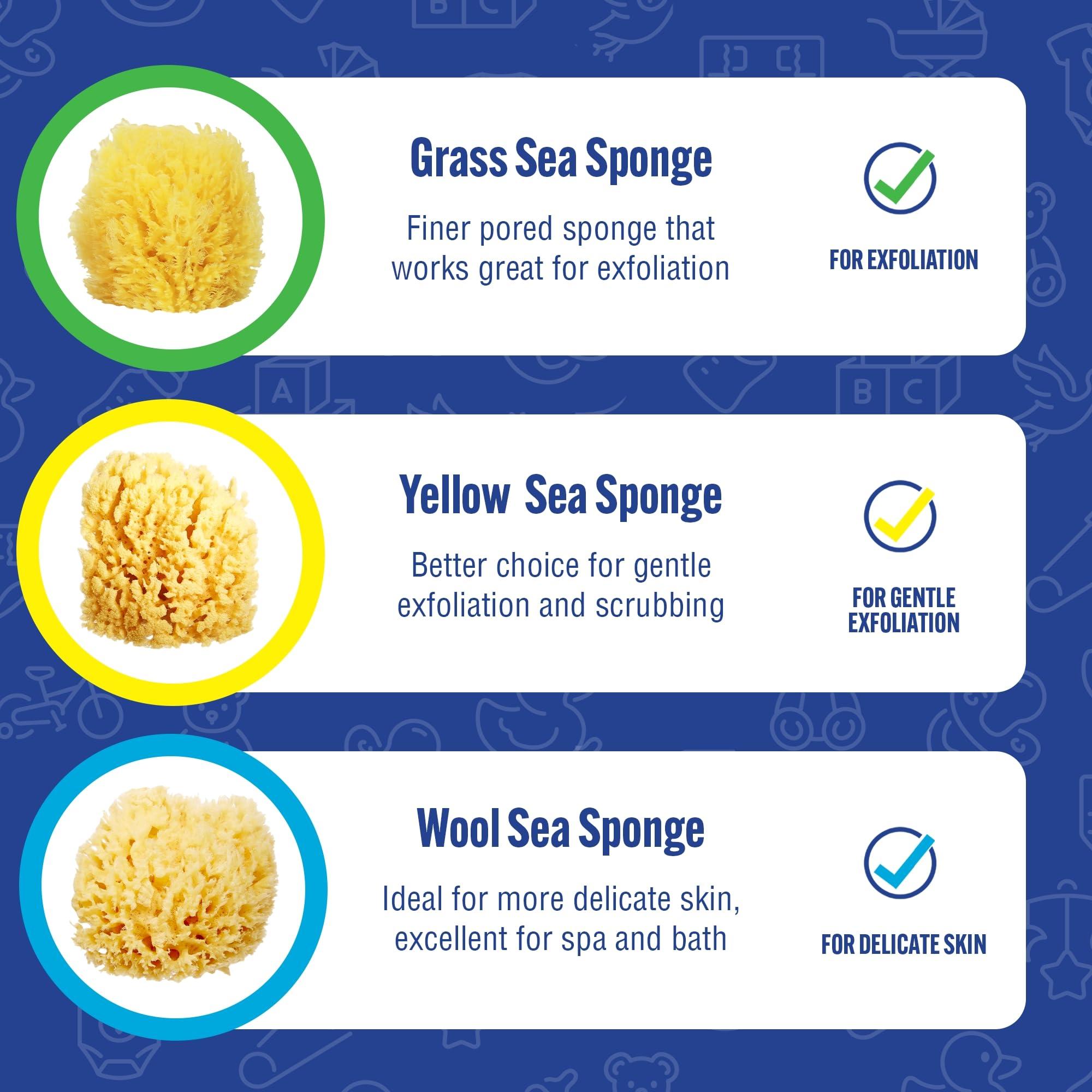 Baby Buddy Baby Buddy Natural Grass Sea Sponge, Newborn Bath Time Essential, Textured for Exfoliation, Hypoallergenic, 1 Count