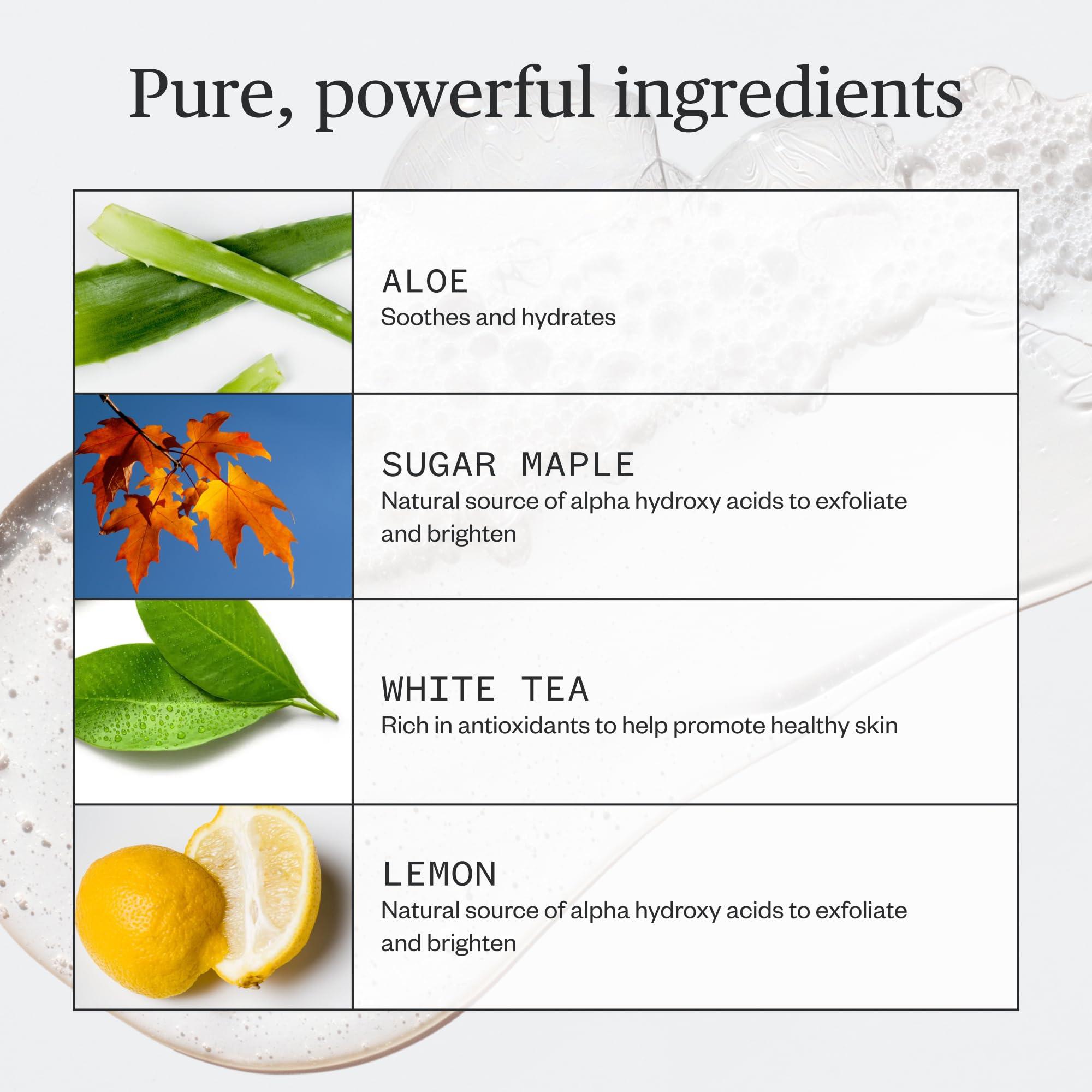 Ursa Major Ursa Major Fantastic Face Wash | Natural, Vegan & Cruelty Free | Daily Foaming Facial Cleanser for Men & Women | 8 ounces