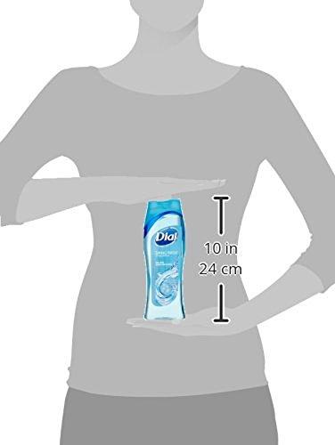 Dial Dial Body Wash, Spring Water, 16 Fl. Ounces (Pack of 2)