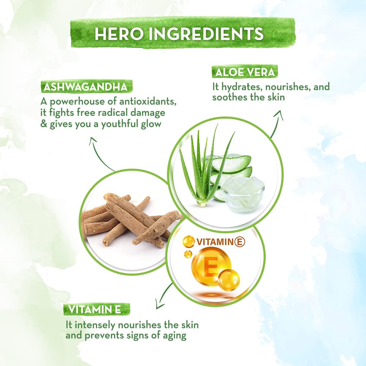 BIC BIC BodyMark Body Art Markers, Pastel Pop, Flexible Brush Tip, 5-Count Pack of Assorted Colors, Skin-Safe, Cosmetic Quality