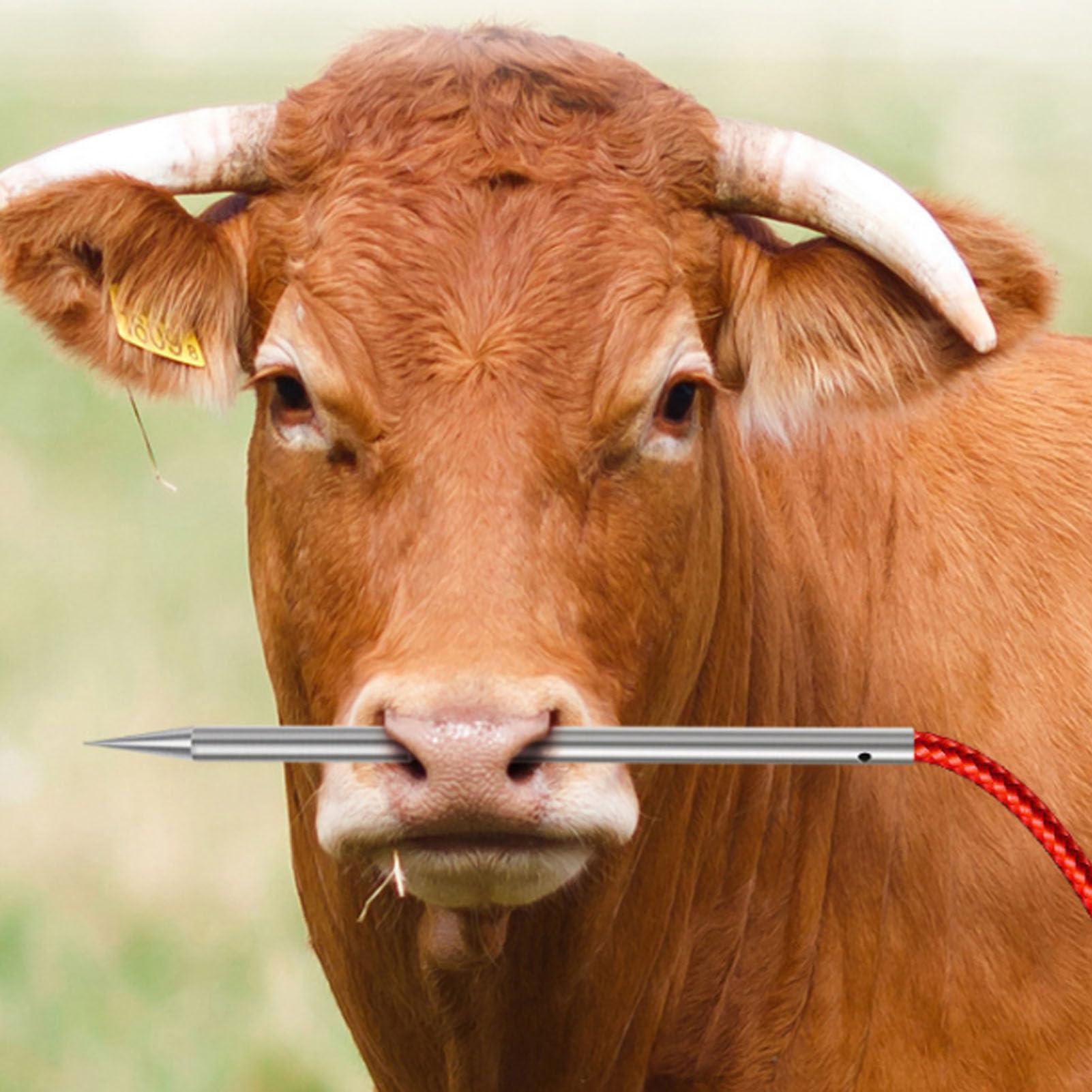 MAVIS LAVEN Cow Nose Piercing Needle, 304 Stainless Steel Cattle Nose Piercing Needle with Hole for Farm Home Cattle Nose Piercing (M)