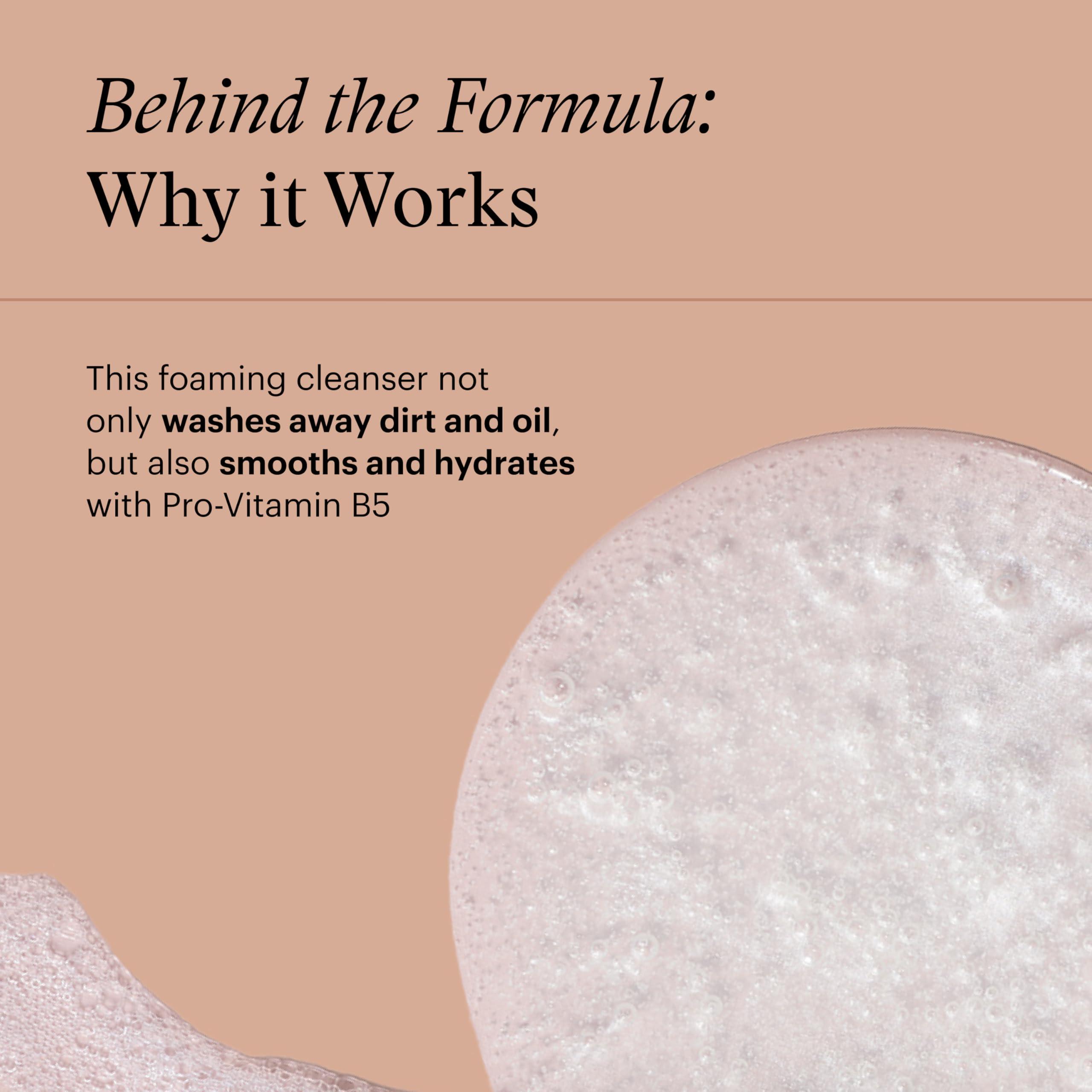 SkinMedica SkinMedica Facial Cleanser - Foaming Cleanser That is a Gentle Face Wash for Normal or Dry Skin and Perfect As a Makeup Remover, 6 Fl Oz