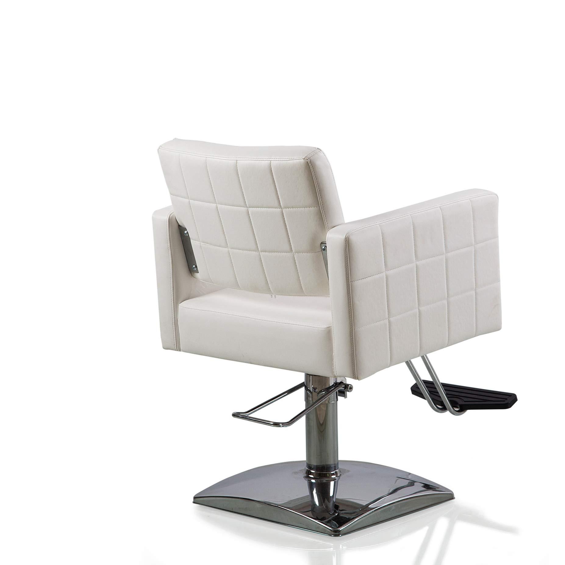 Beauty Style Beauty Style Styling Chair Salon Barber Chair Beauty Chair for Hair Stylist Salon Equipment White