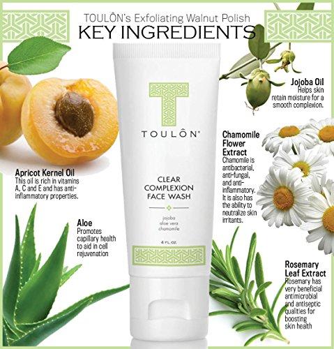 TOULON TOULON Aloe Vera Face Wash - Anti Aging Face Cleanser for Oily Skin & Clear Complexion. Antioxidant Facial Cleanser For Women and Men